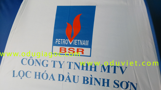 Du R75 in logo cam tay